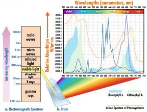 Clipboard01_spectrum graph_1