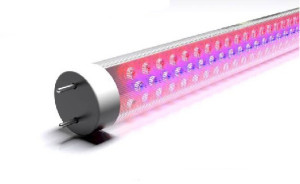 Unique-Design-LED-Grow-Tube-Light-Red-and-Blue-for-Flower-Fruit-and-Vegertable