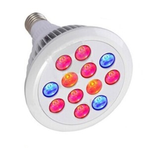 Website_LED Grow Bulb_2